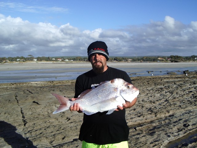 KALBARRI SNAPPER FROM THE ROCKS